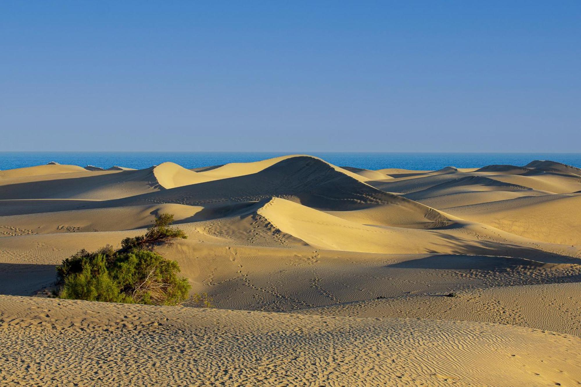 Bungalow Beside The Maspalomas Dunes By Pride Holiday Rentals Сан-Бартоломе Экстерьер фото